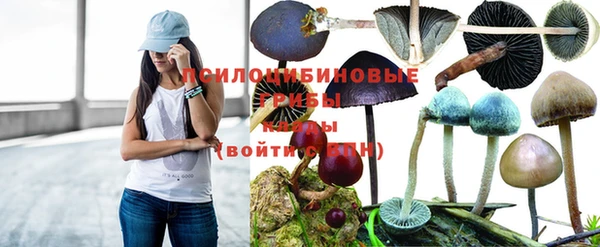 мефедрон Алексеевка